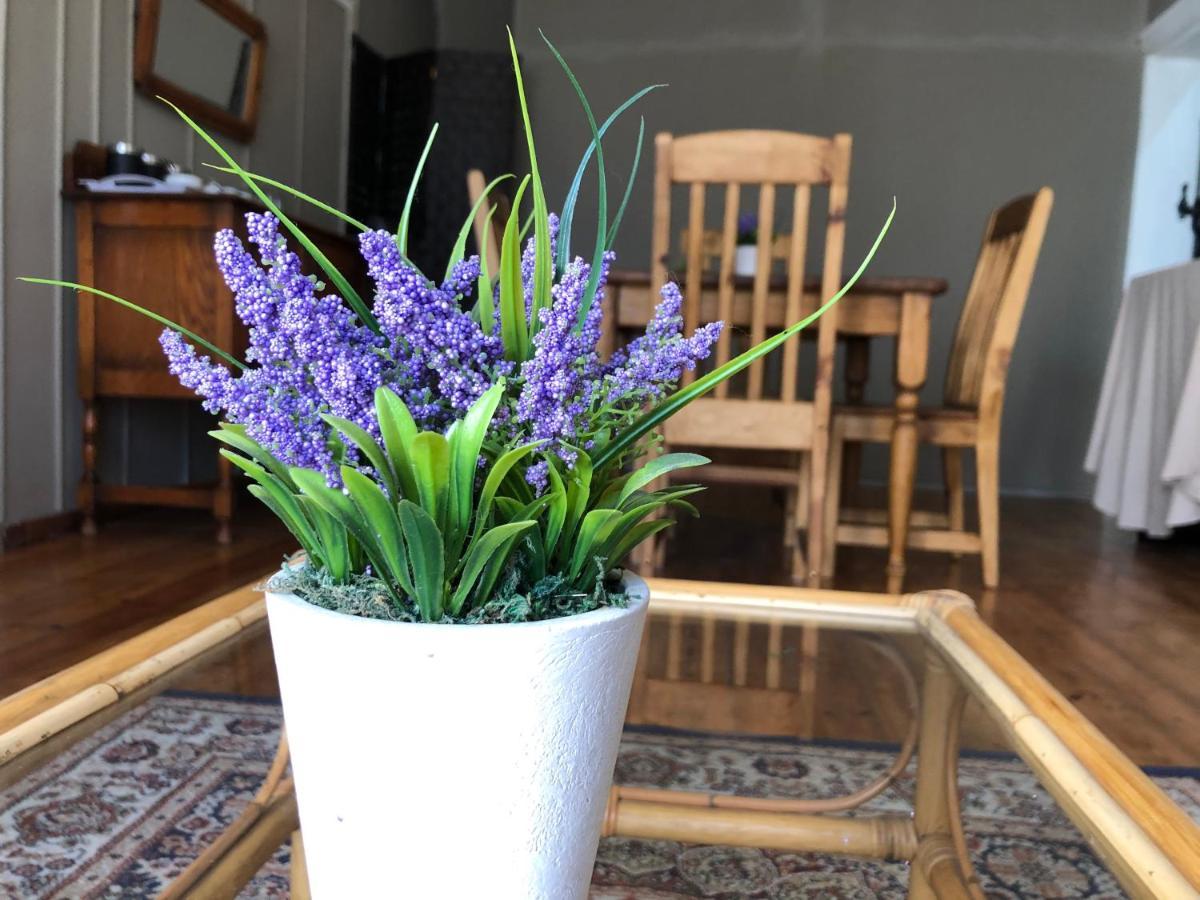 The Lavender Guesthouse Kroonstad Εξωτερικό φωτογραφία